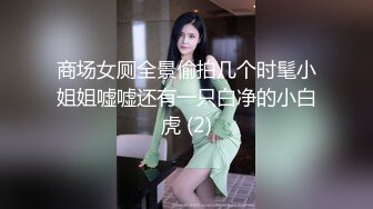 商场女厕全景偷拍几个时髦小姐姐嘘嘘还有一只白净的小白虎 (2)