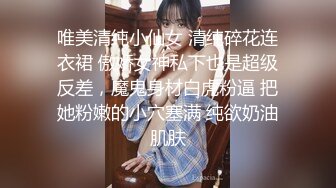 唯美清纯小仙女 清纯碎花连衣裙 傲娇女神私下也是超级反差，魔鬼身材白虎粉逼 把她粉嫩的小穴塞满 纯欲奶油肌肤