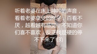 听着老婆在床上呻吟的声音，看着老婆享受的样子，百看不厌，越看越有感觉，不知道你们喜不喜欢，反正我是硬的停不下来了 (3)