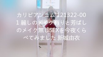 カリビアンコム 121322-001 麗しのメイク有りと芳ばしのメイク無しSEXを今夜くらべてみました 新城由衣