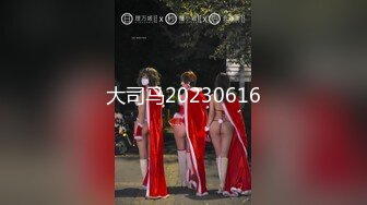 大司马20230616