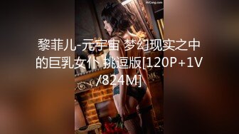 黎菲儿-元宇宙 梦幻现实之中的巨乳女仆 挑逗版[120P+1V/824M]