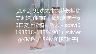 [2DF2] 91沈先生探花长相甜美萌妹子啪啪，情趣装黑丝69口交上位骑乘后入 - soav(9193918-13394901)_evMerge[MP4/159MB][BT种子]