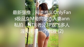 最新强推，网美推车OnlyFans极品女M母狗变态人妻ann私拍，NTR老公3P双飞多人淫乱主打一个刺激 (2)