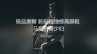 极品美臀 新拍超性感高跟鞋 马尾肥臀少妇