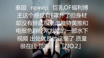 泰国⭐npxvip⭐巨乳OF福利博主这个感觉有F罩杯了但身材却没有胖就很离谱推特黄推和电报色群经常发她的一部水下视频 出处就是她这里了 质量很在线 顶推！~「NO.2」