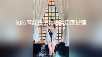 知名网红线下和粉丝见面被强奸