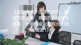 【良家故事】良家收割机，短发气质人妻，离婚后开始放飞自我，一袭长裙火速脱光，插入骚逼 (3)