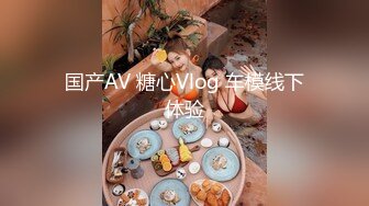 国产AV 糖心Vlog 车模线下体验