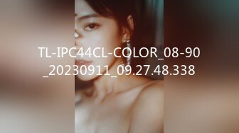 TL-IPC44CL-COLOR_08-90_20230911_09.27.48.338