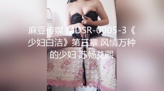 麻豆传媒 MDSR-0005-3《少妇白洁》第三章 风情万种的少妇 苏畅艾熙