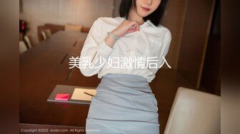 美乳少妇激情后入