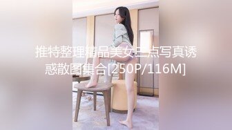 推特整理精品美女三点写真诱惑散图集合[250P/116M]