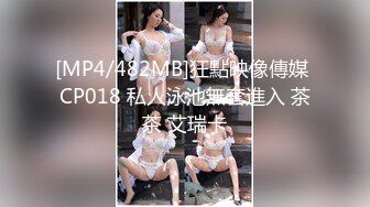 [MP4/482MB]狂點映像傳媒 CP018 私人泳池無套進入 茶茶 艾瑞卡