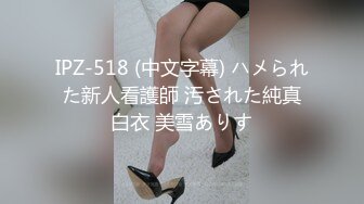 IPZ-518 (中文字幕) ハメられた新人看護師 汚された純真白衣 美雪ありす