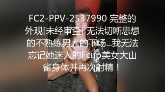 FC2-PPV-2537990 完整的外观[未经审查] 无法切断思想的不熟练男人的下场...我无法忘记她迷人的Fcup美女大山雀身体并再次射精！