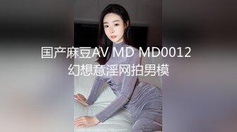 国产麻豆AV MD MD0012 幻想意淫网拍男模